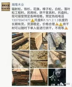 找原木,找板材,在這里,2017年9月16日 ,精品木材 銷售信息,履約思源,不忘初心 財經(jīng) 網(wǎng)