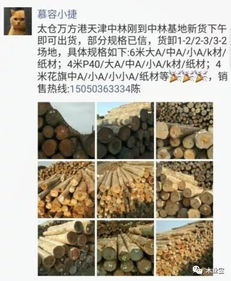 找原木,找板材,在這里,2017年12月16日,精品木材銷售信息,履約思源,不忘初心 財經 網