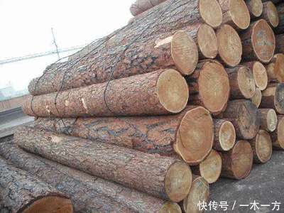 創(chuàng)秋木業(yè)資訊:報(bào)告預(yù)測美國木工需求將每年增長2.4%
