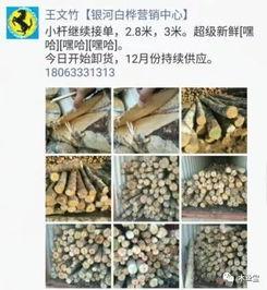 找原木,找板材,在這里,2017年12月4日,精品木材銷售信息,履約思源,不忘初心 財(cái)經(jīng) 網(wǎng)
