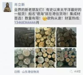 找原木,找板材,在這里,2017年4月15日 ,精品木材銷(xiāo)售信息,履約思源,不忘初心 